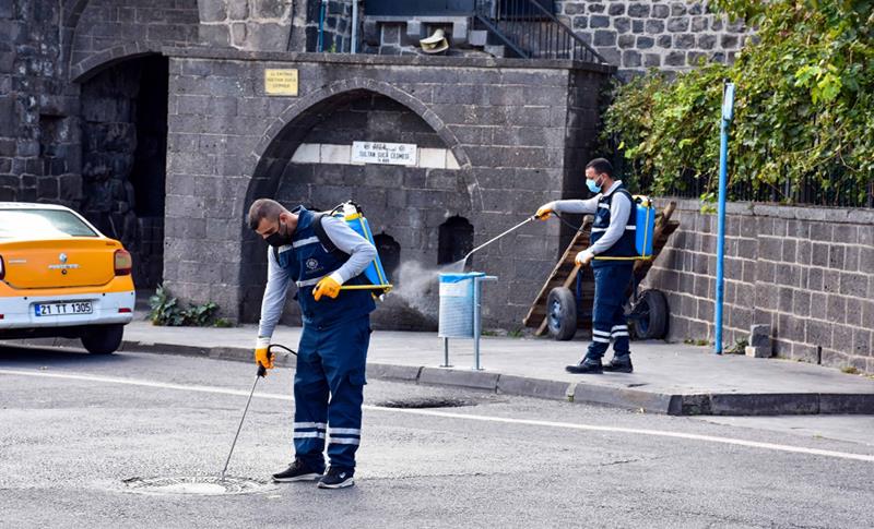 HAŞERELERE KARŞI İLAÇLAMA YAPILIYOR